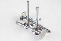 Клапан WD615 Евро2 выпускной D=50 d=11 H=159