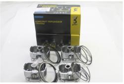 Поршень дв. УМЗ-А274 Evotech ЕВРО-4,ГАЗель NEXT 96,5 с кольц. (к-т 4 шт.) (в упак. g-PART) (СТК)