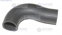 Патрубок рад. ГАЗель 406 дв. верх. (БРТ г.Балаково) 3302-1303010-10