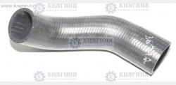 Патрубок рад. ГАЗель дв. Cummins ISF 2.8L верх. (РАПИТЕХ г.Н.Новгород)