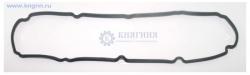 Прокладка крышки клапанной дв.Evotech A274, 274-0-1007245-1