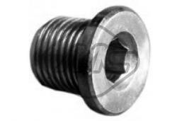 БОЛТ СЛИВА МАСЛА CITPGT 16X150