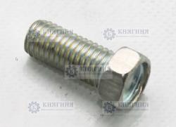 Болт М12*1.75*28 многоцелевой (Красная Этна) 201539-629