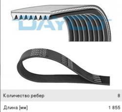 Ремень приводной поликлиновой 8PK1855HD DAYCO DAYCO 8PK1855HD