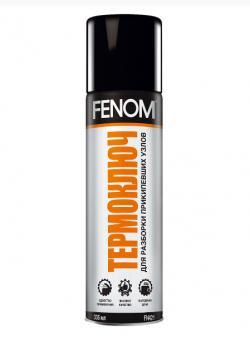 Термоключ Fenom FN421