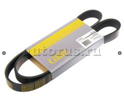 Ремень поликлиновый 6PK1123 для VAG VW T5 GANZ GIE37023
