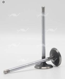 Клапан двигателя впускной  VI50002  M44B18/19 M50B25 M52B25/28 32.9x6x106.1