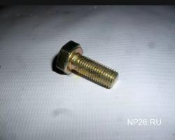 Болт М10х1,25х 25 (ОАО БелЗАН г. Белебей)