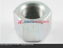 Гайка стремянки задней - ПАО КАМАЗ  30х2    6520-2912416